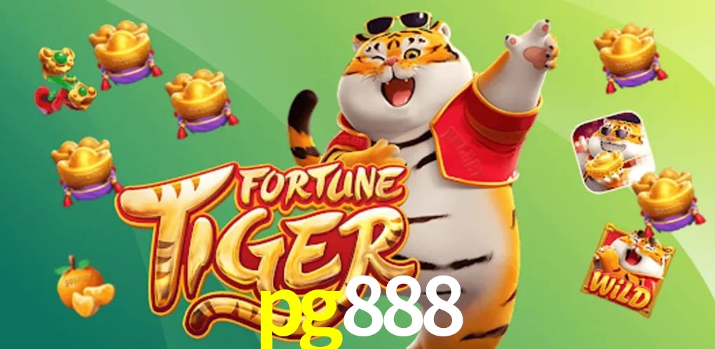 Experiência VIP pg888